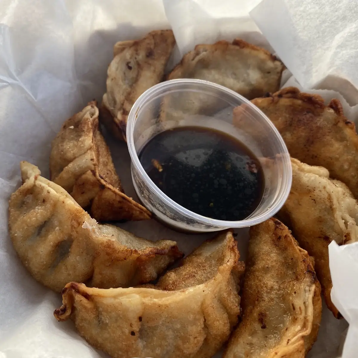 Fried Pork Dumplings