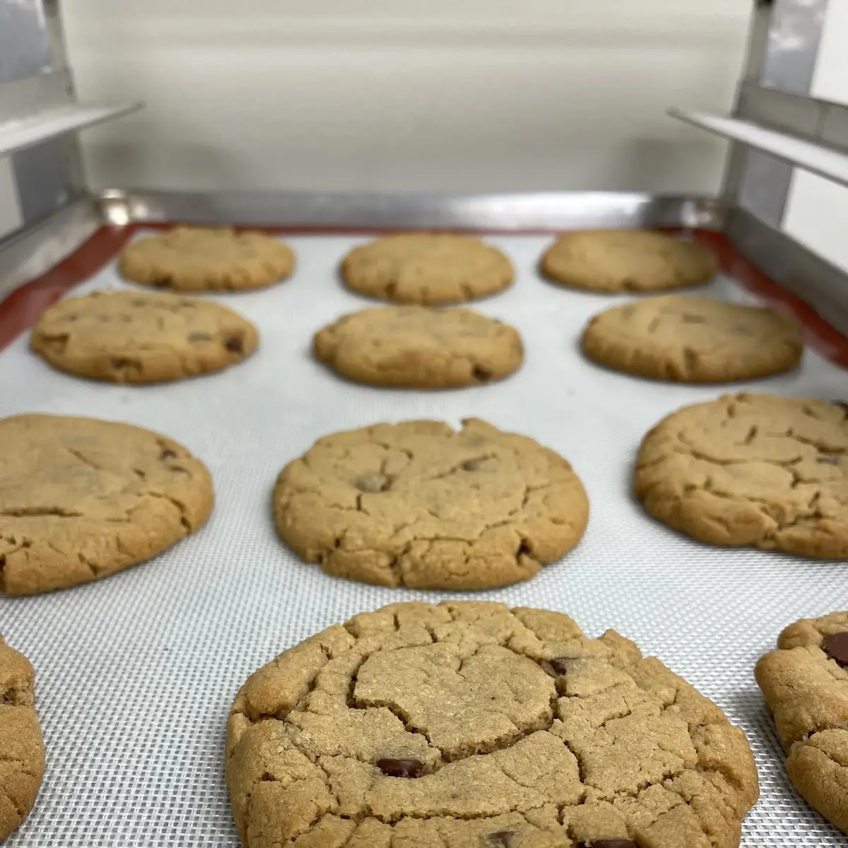 PB Chocolate Chip
