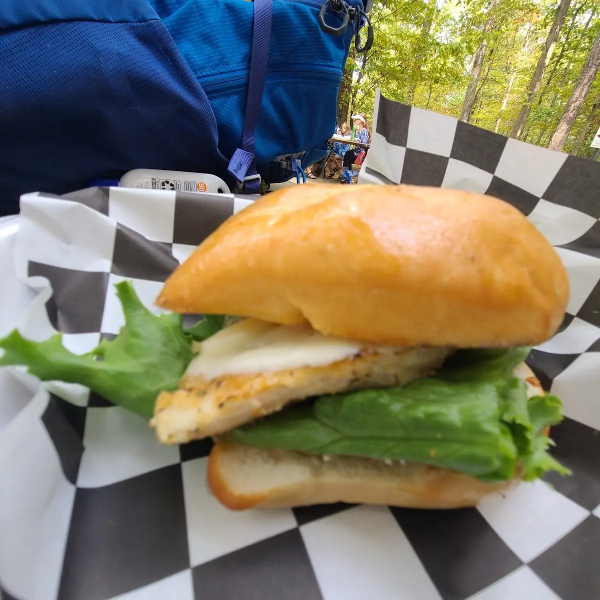 Raspberry Chicken Sandwich