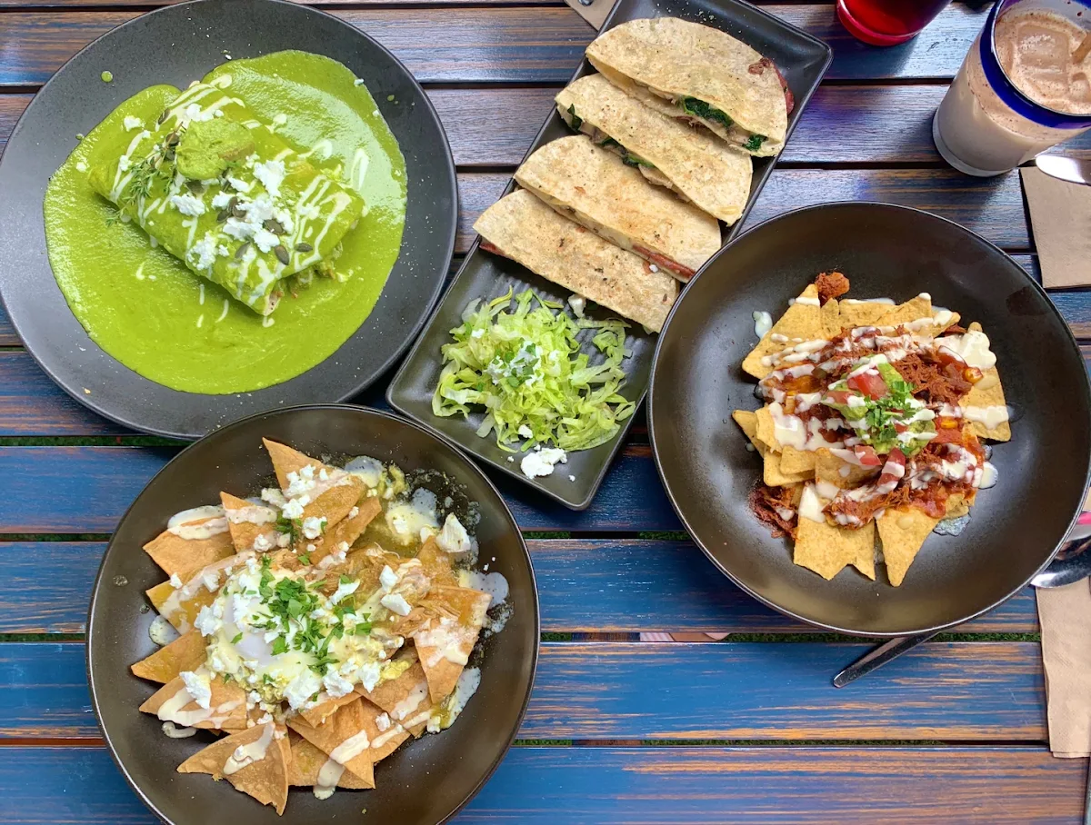 Enchilada Chicken Qusadila Nacho Chilaquiles