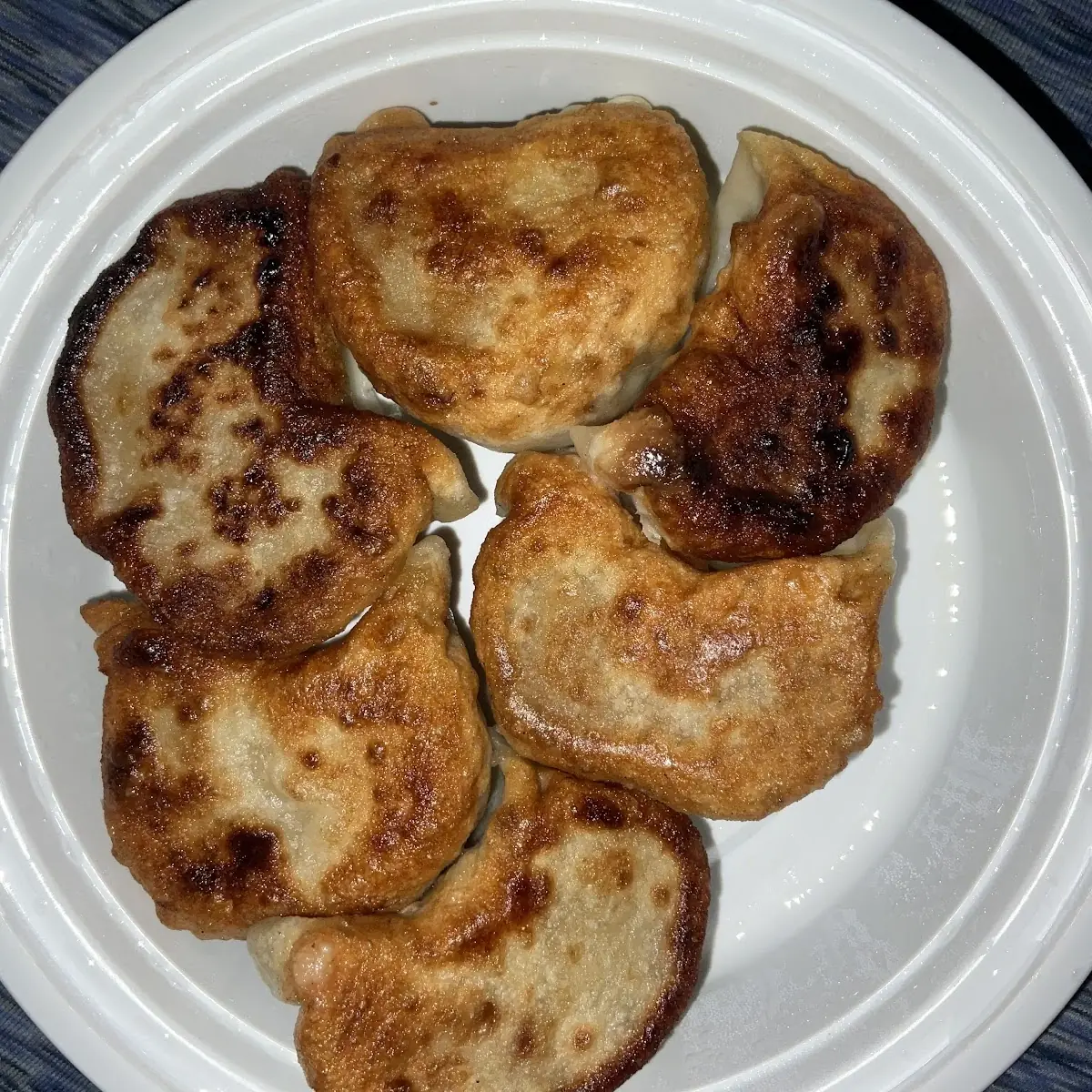 Pan Fried Pork Dumplings