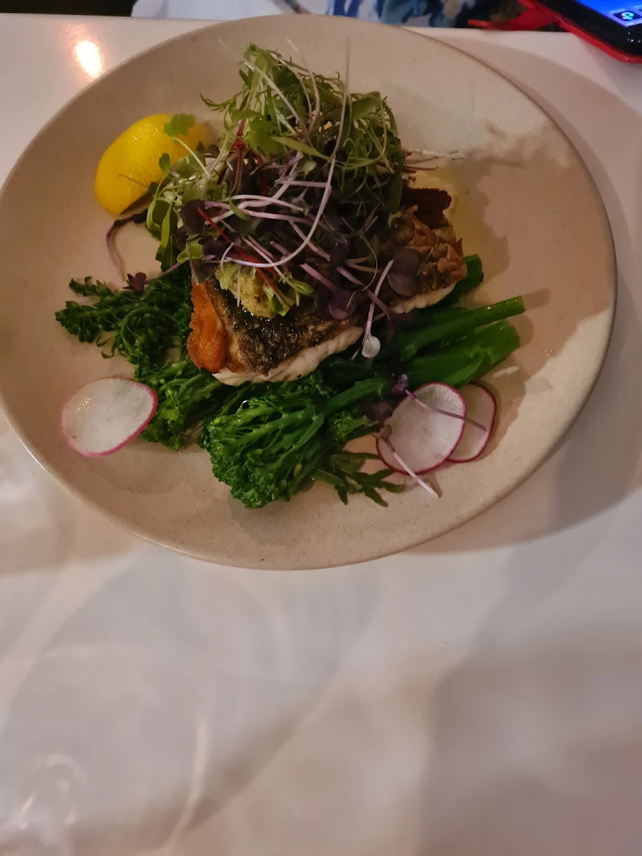 Barramundi