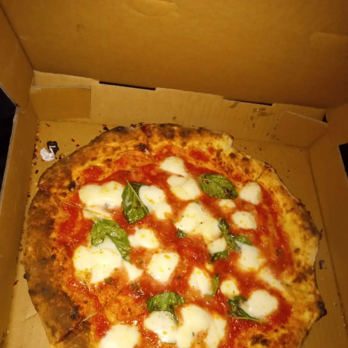Pizza Margherita