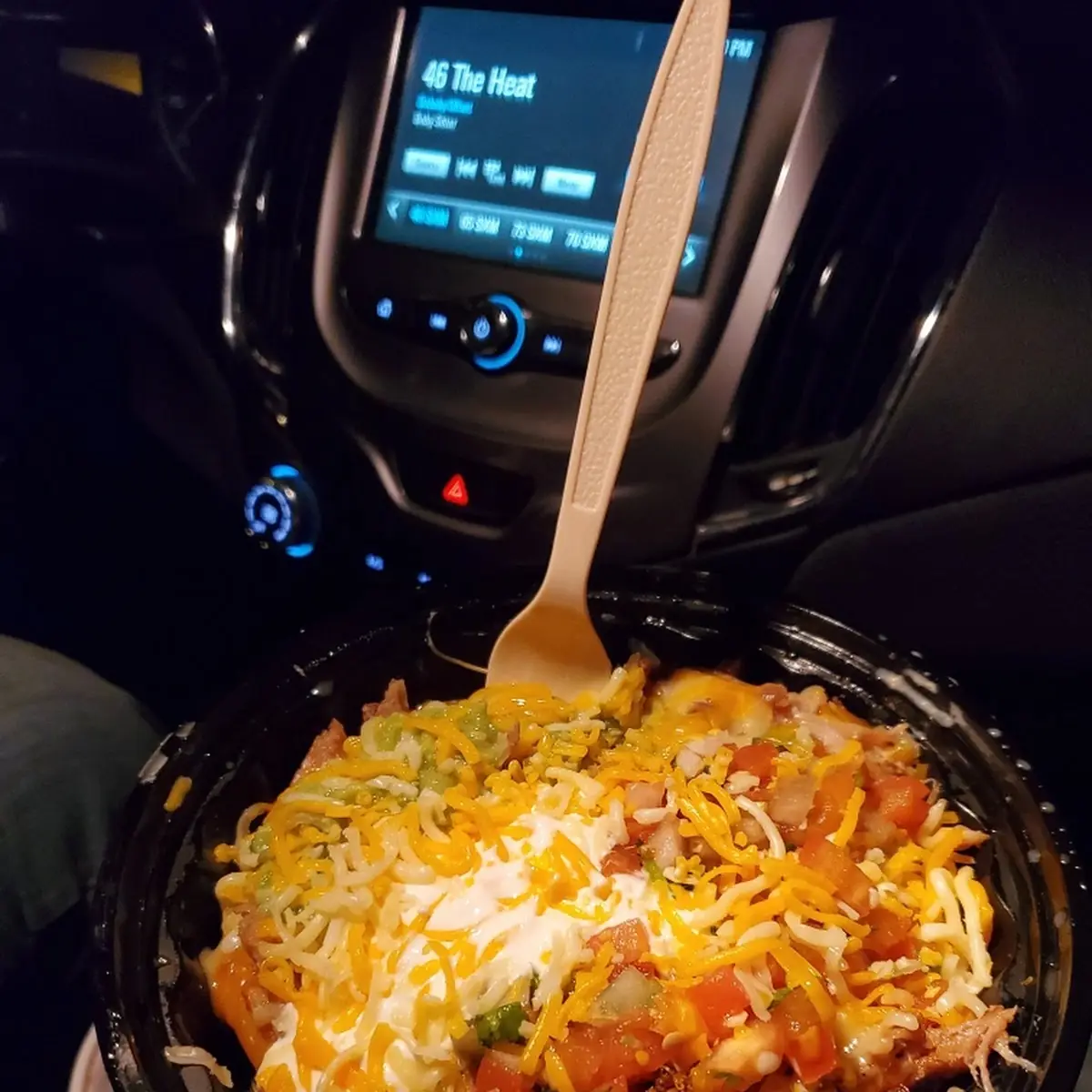 Cali Fries with Everything Pulled Pork as the Meat