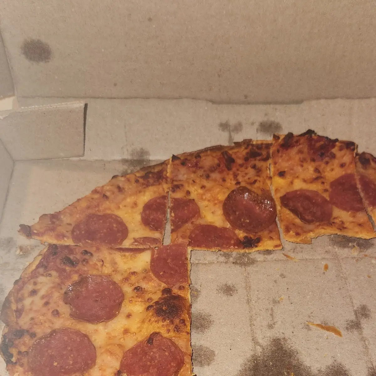 Burnt Pepperoni Pizza