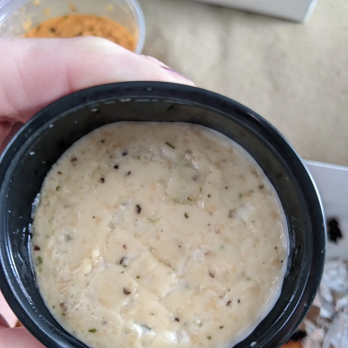 Cheese Steak Dip