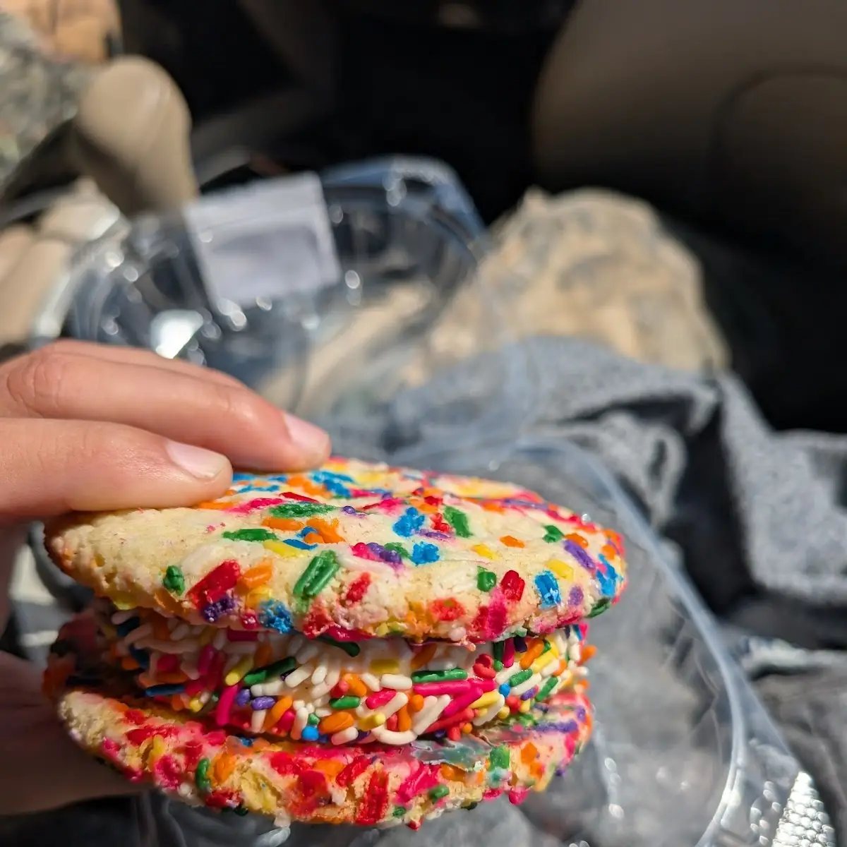 Vanilla Ice Cream Sandwich