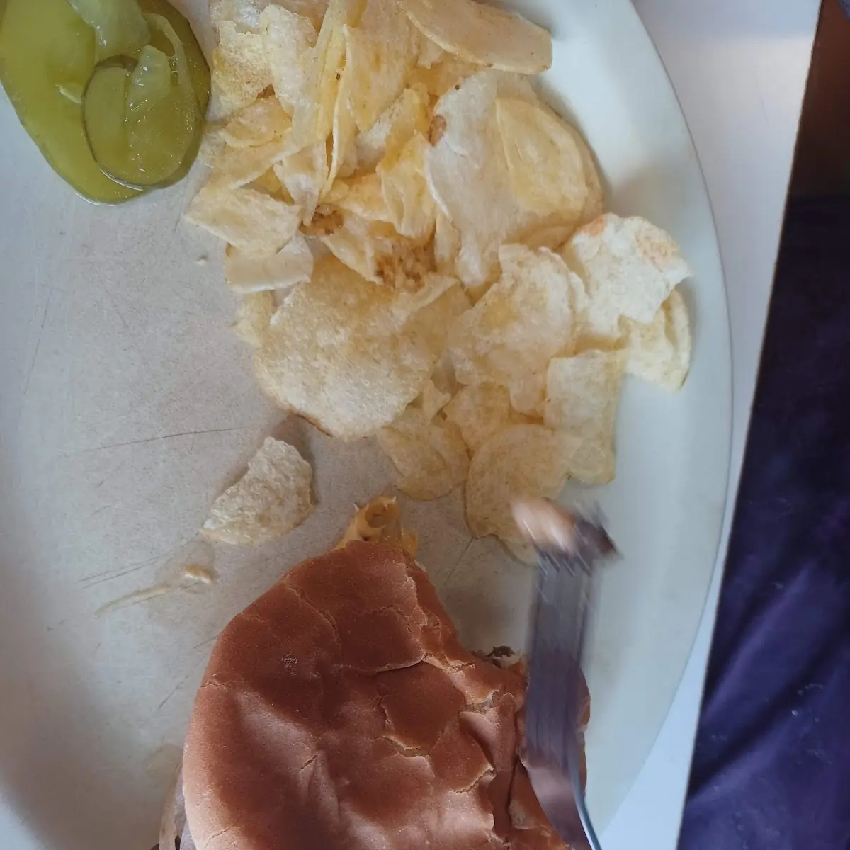 Beautifully Cooked Hamburger and Chips