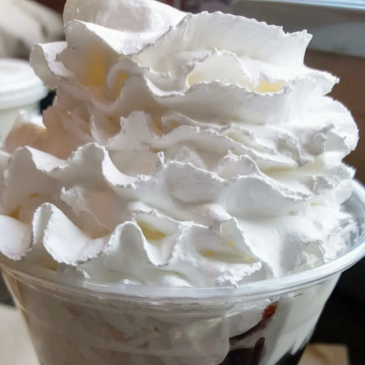 Ice Cream with Hot Fudge