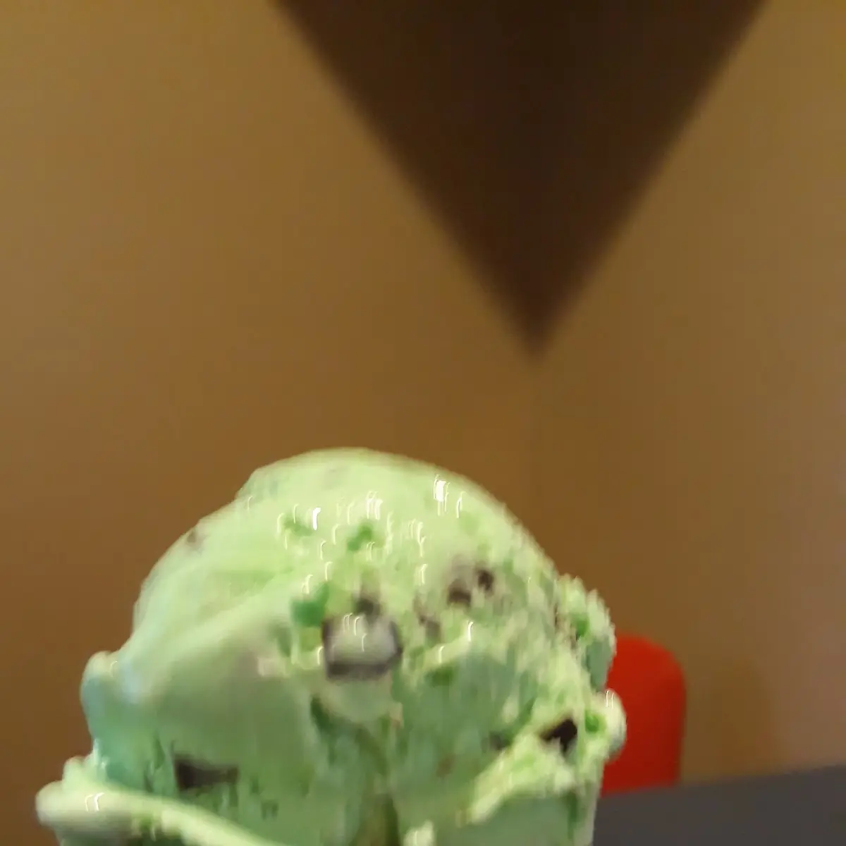 Mint Chocolate Chip