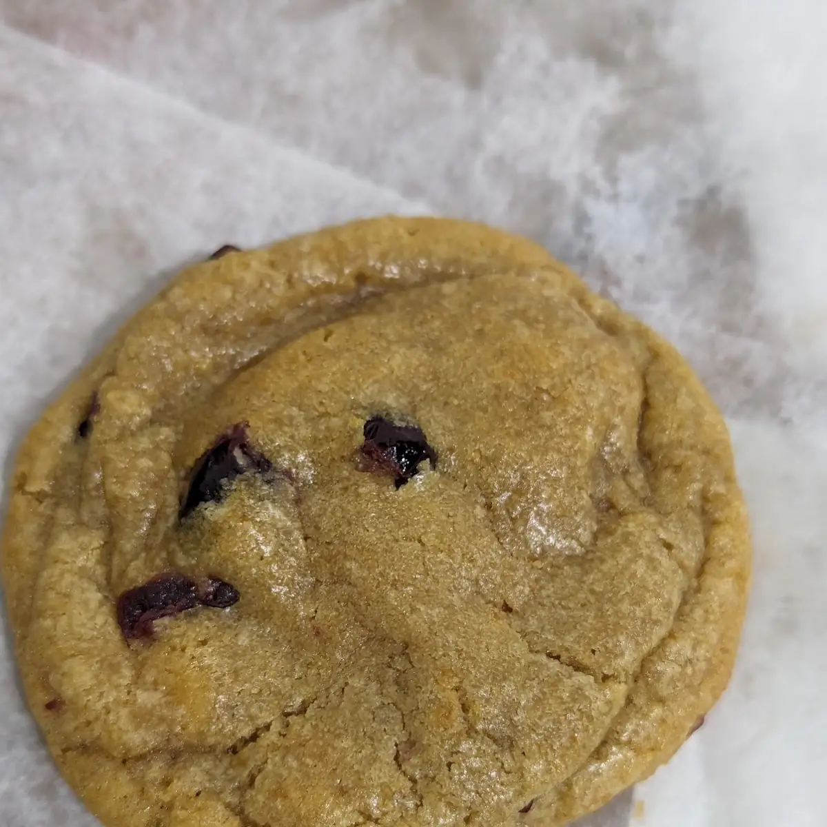 Chocolate Chip Cookie