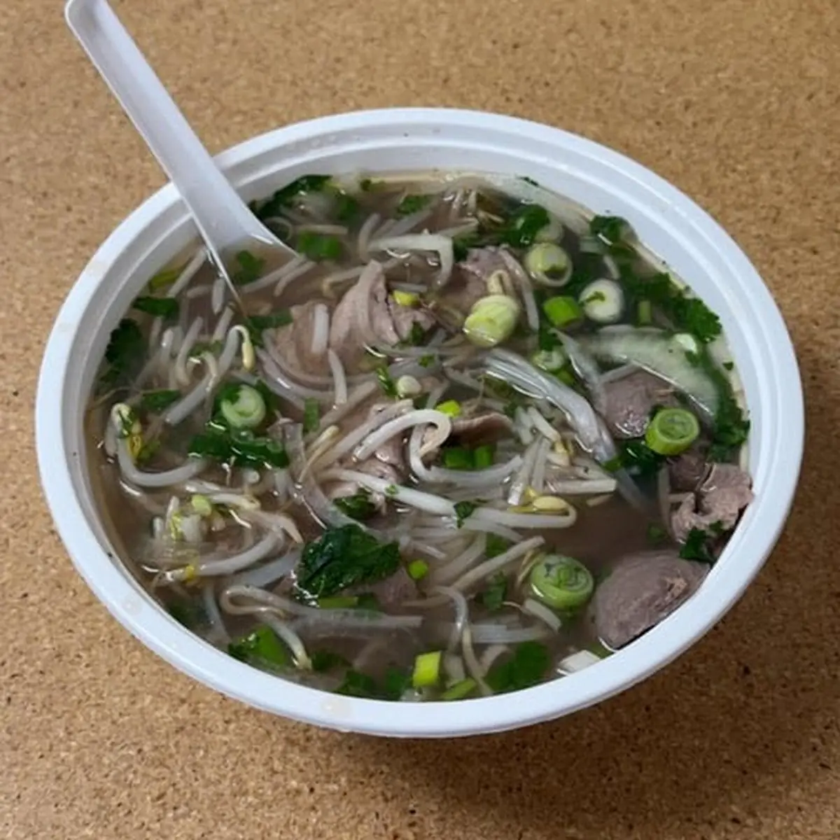 Combination Beef Noodle Soup