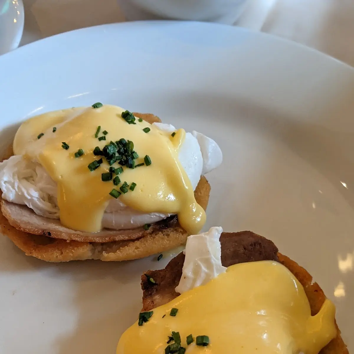 Poached Egg Benedict