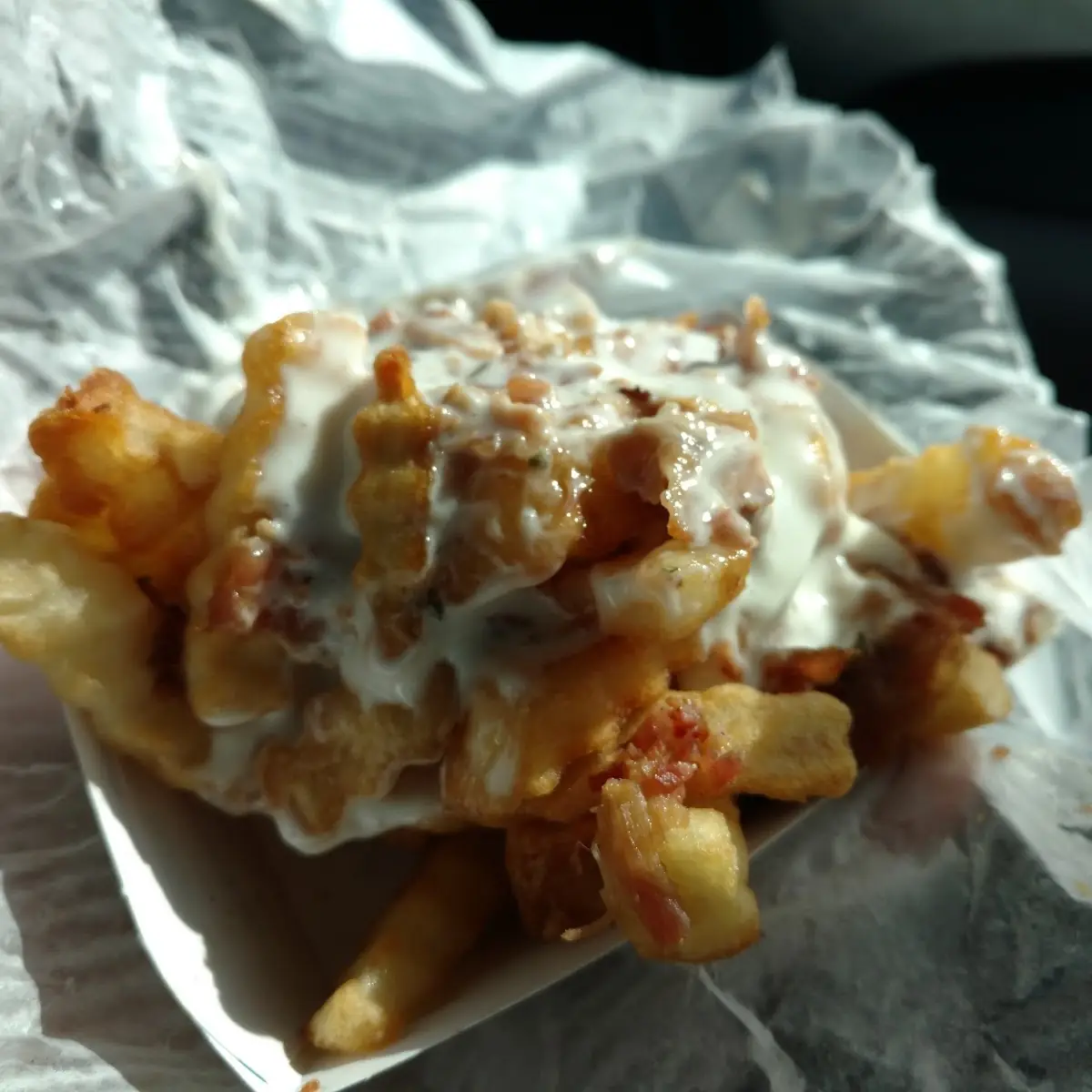 Bacon Ranch Fries