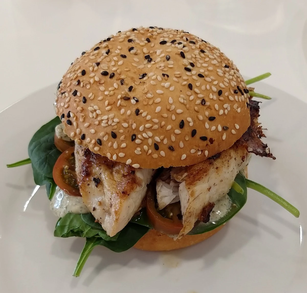 Highlights, Wild Fish Café