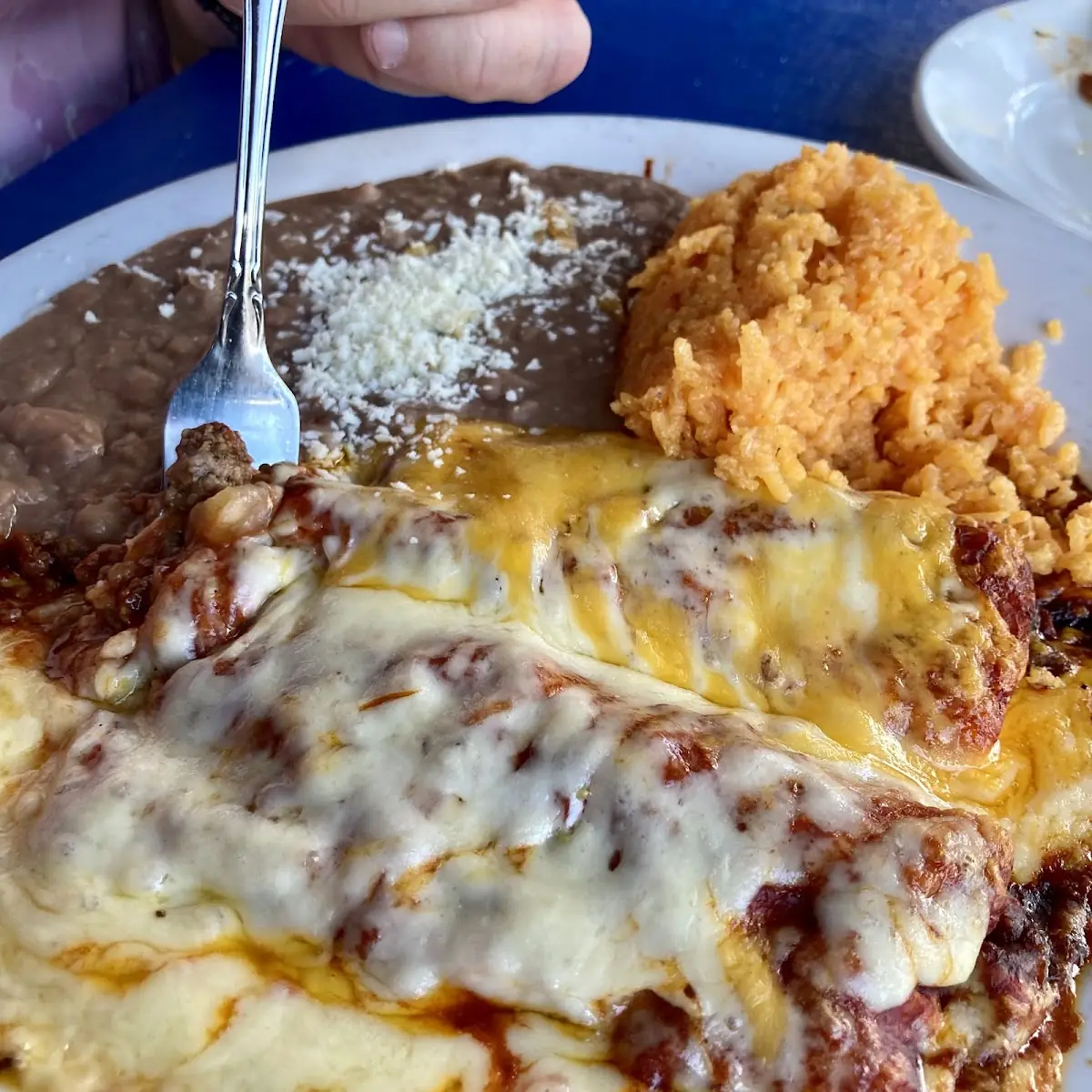 Chicken Enchiladas Mole
