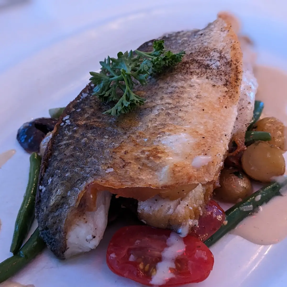Seared Mediterranean Sea Bass