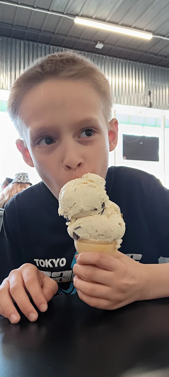 Chocolate Chip Cookie Ice Cream Cone