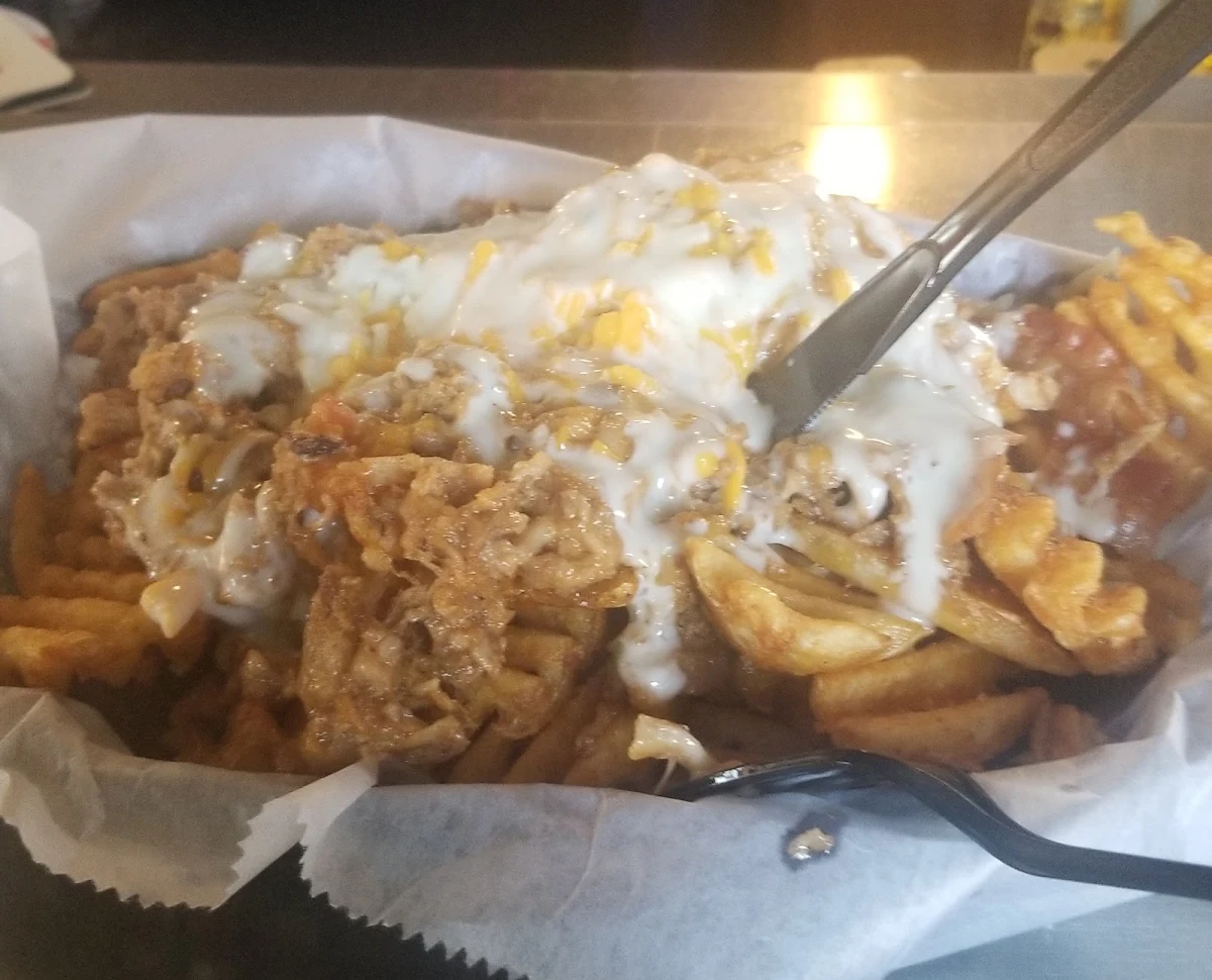 Pulled Pork Fries