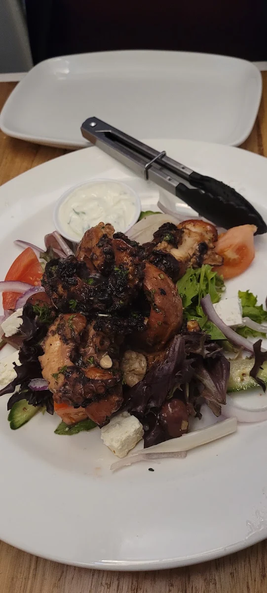 Octopus Salad, Cyprus Tree