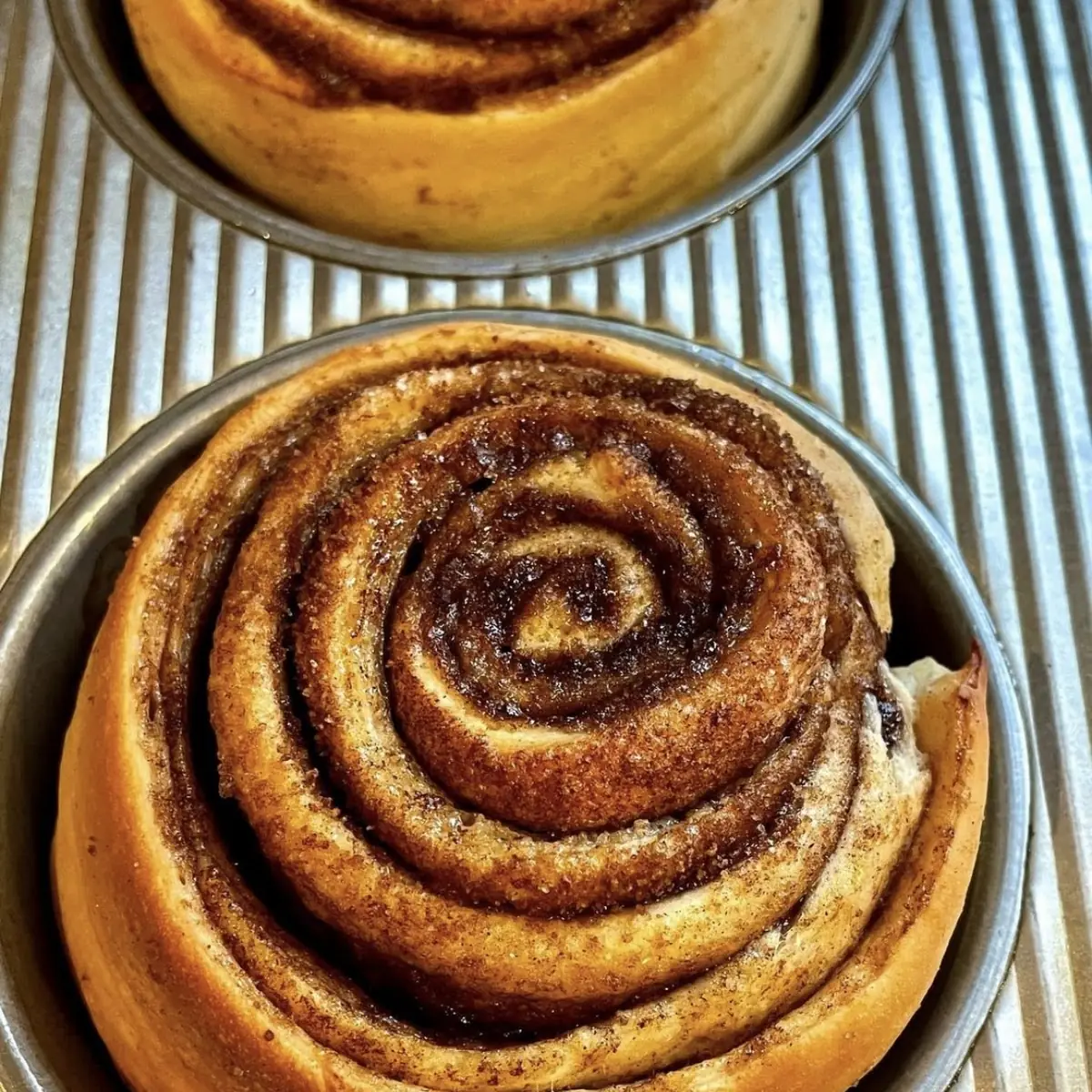 Cinnamon Chip Muffin (Fresh baked on site)