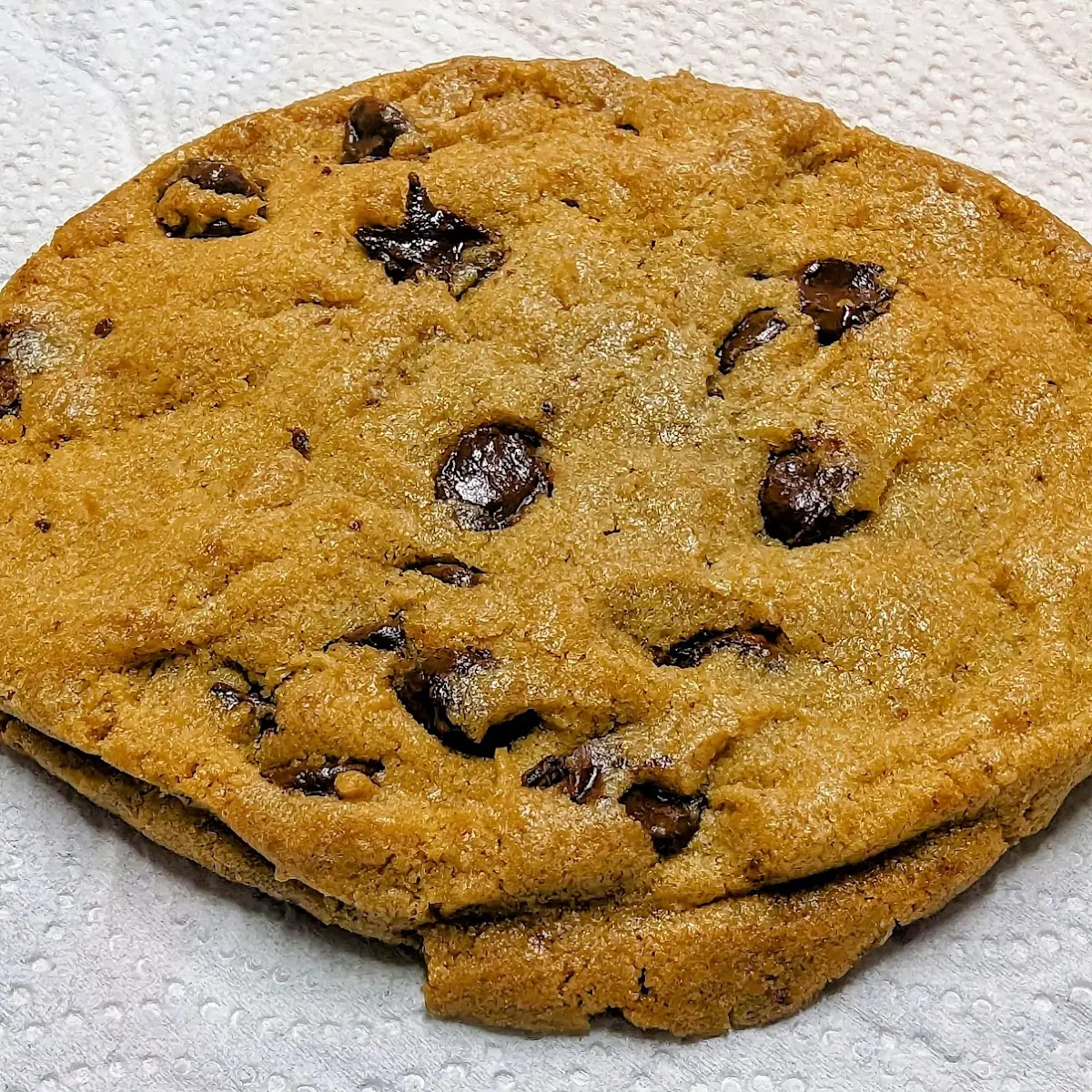 Chocolate Chip Cookie