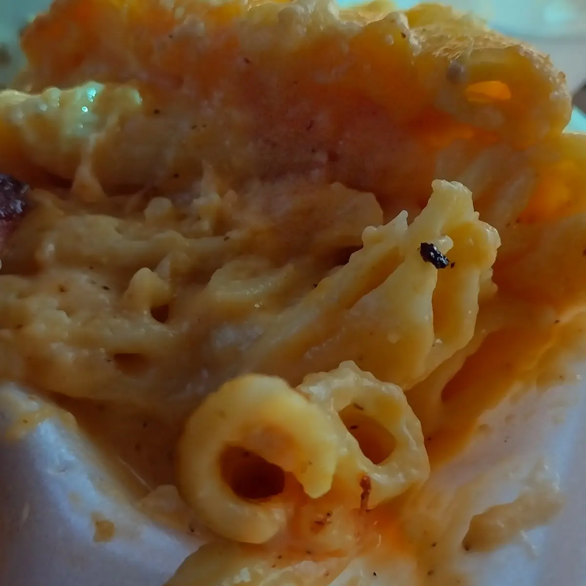 Mac N' Cheese