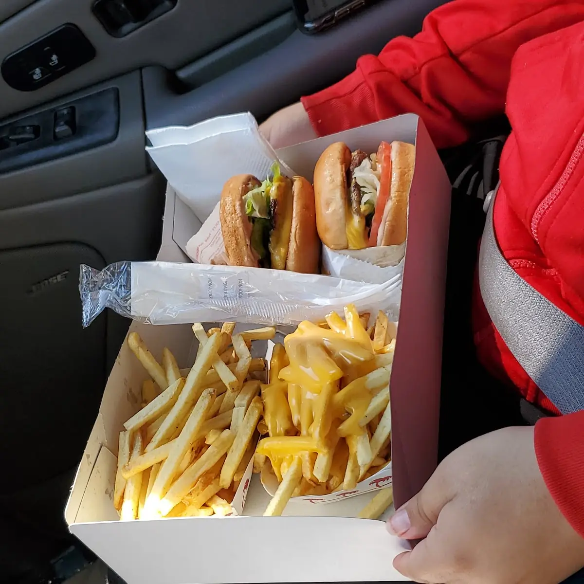 Cheese Fries w Cheeseburger Combo