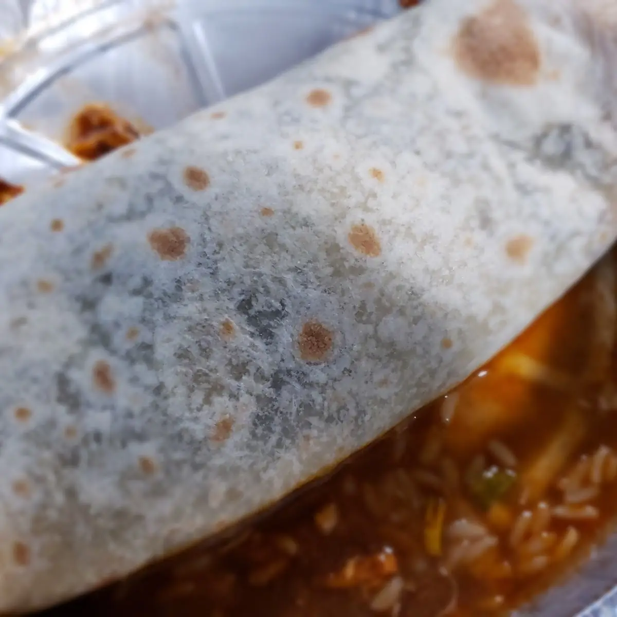 Shredded Chicken Burrito