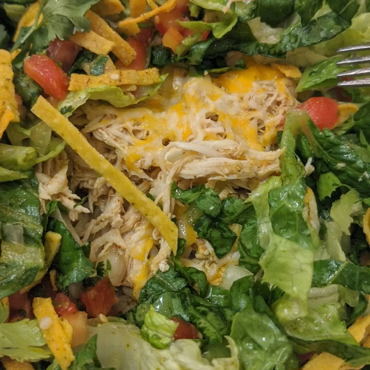 Steak Salad