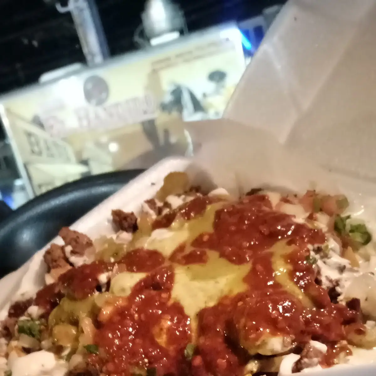 Carne Asada Fries