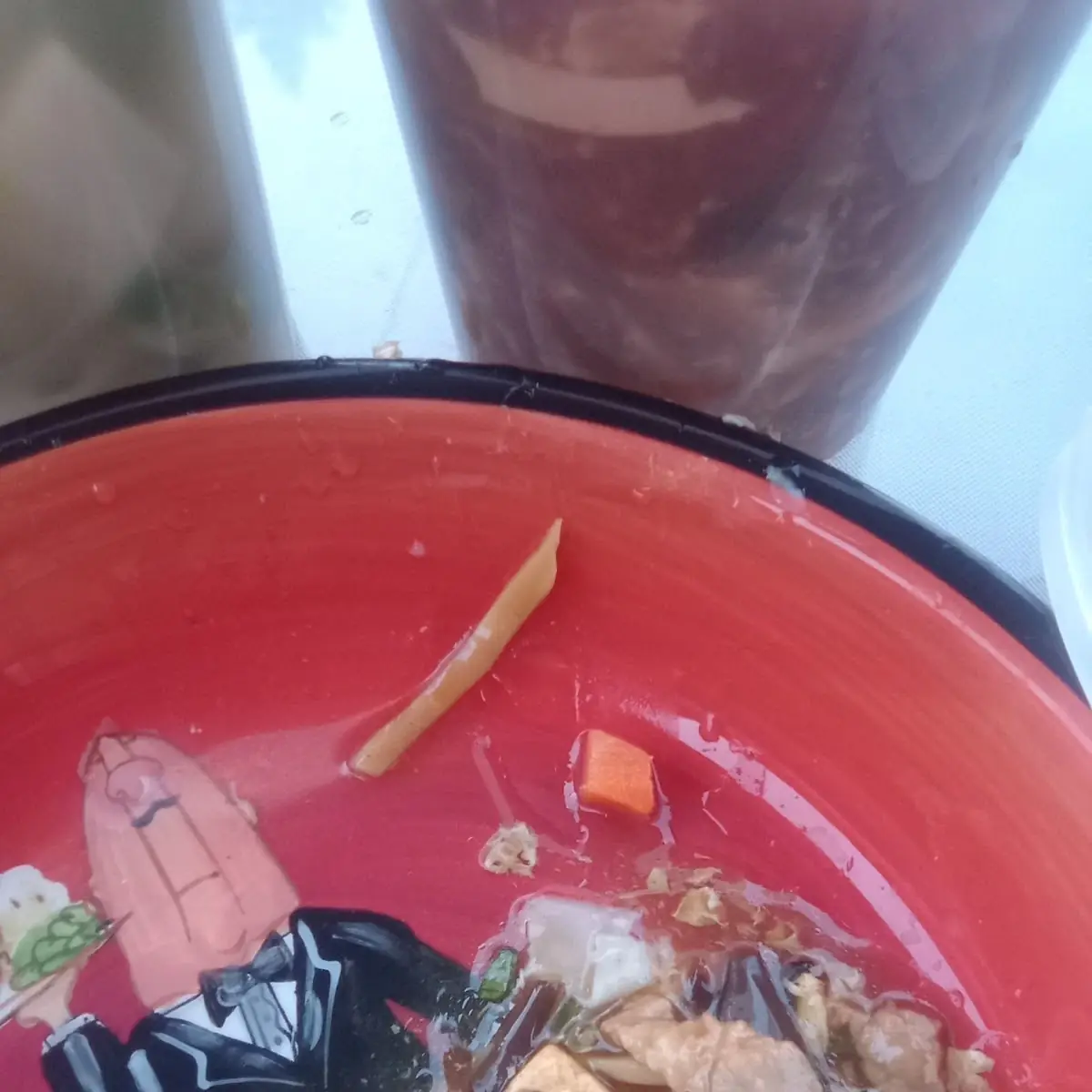 Hot and Sour Soup