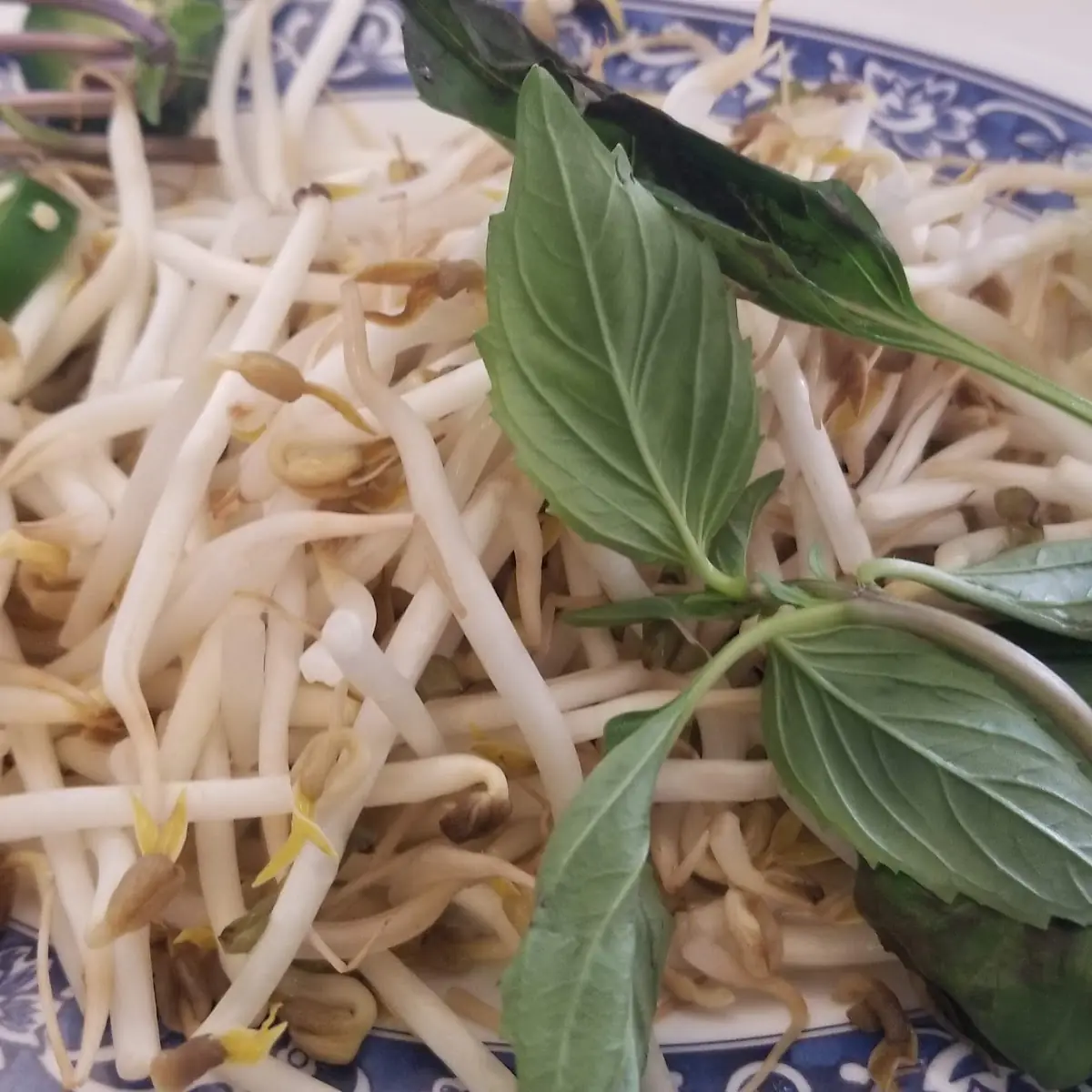 Thai Basil