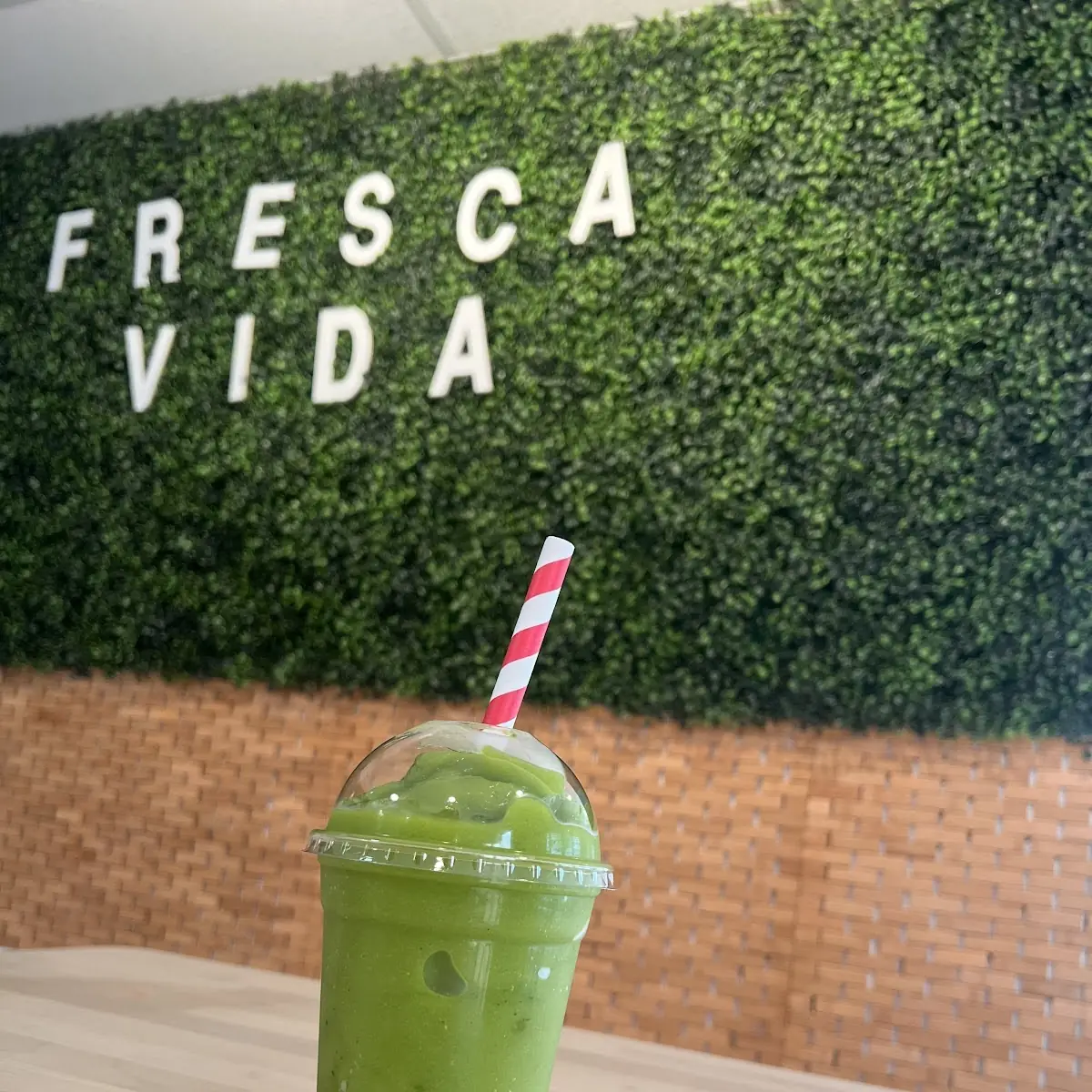 Iced Matcha Latte