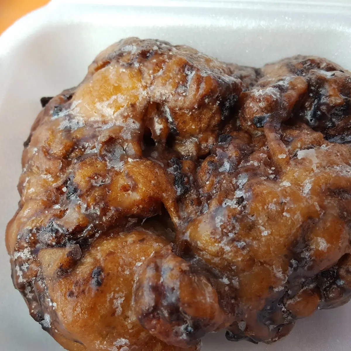 Blueberry Fritter