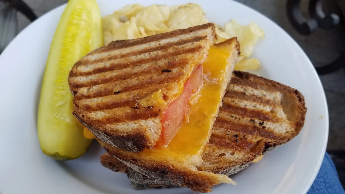 Zesty Grilled Cheese Sandwich
