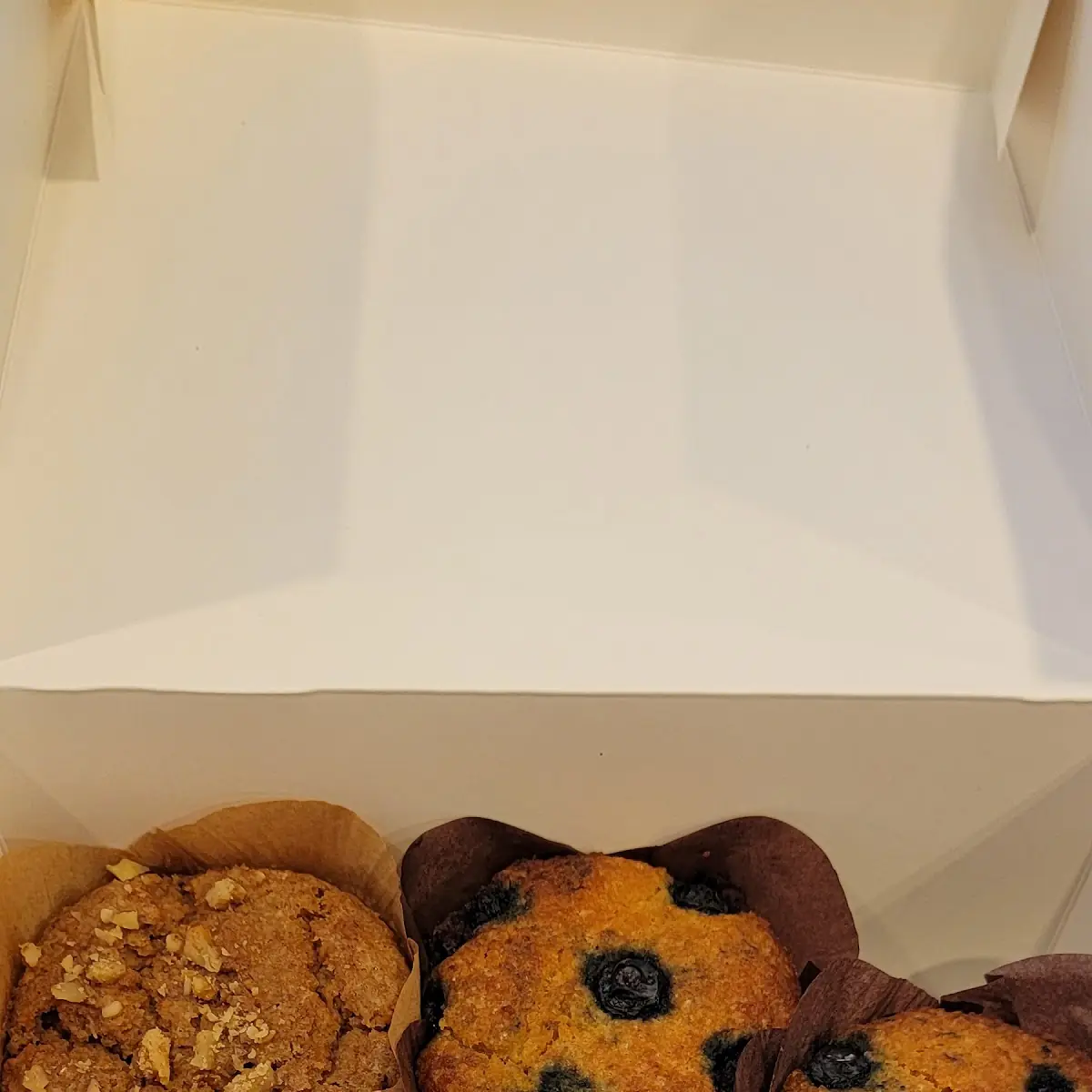 Blueberry Muffin
