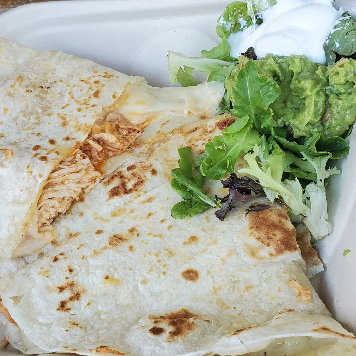 Chicken Quesadilla