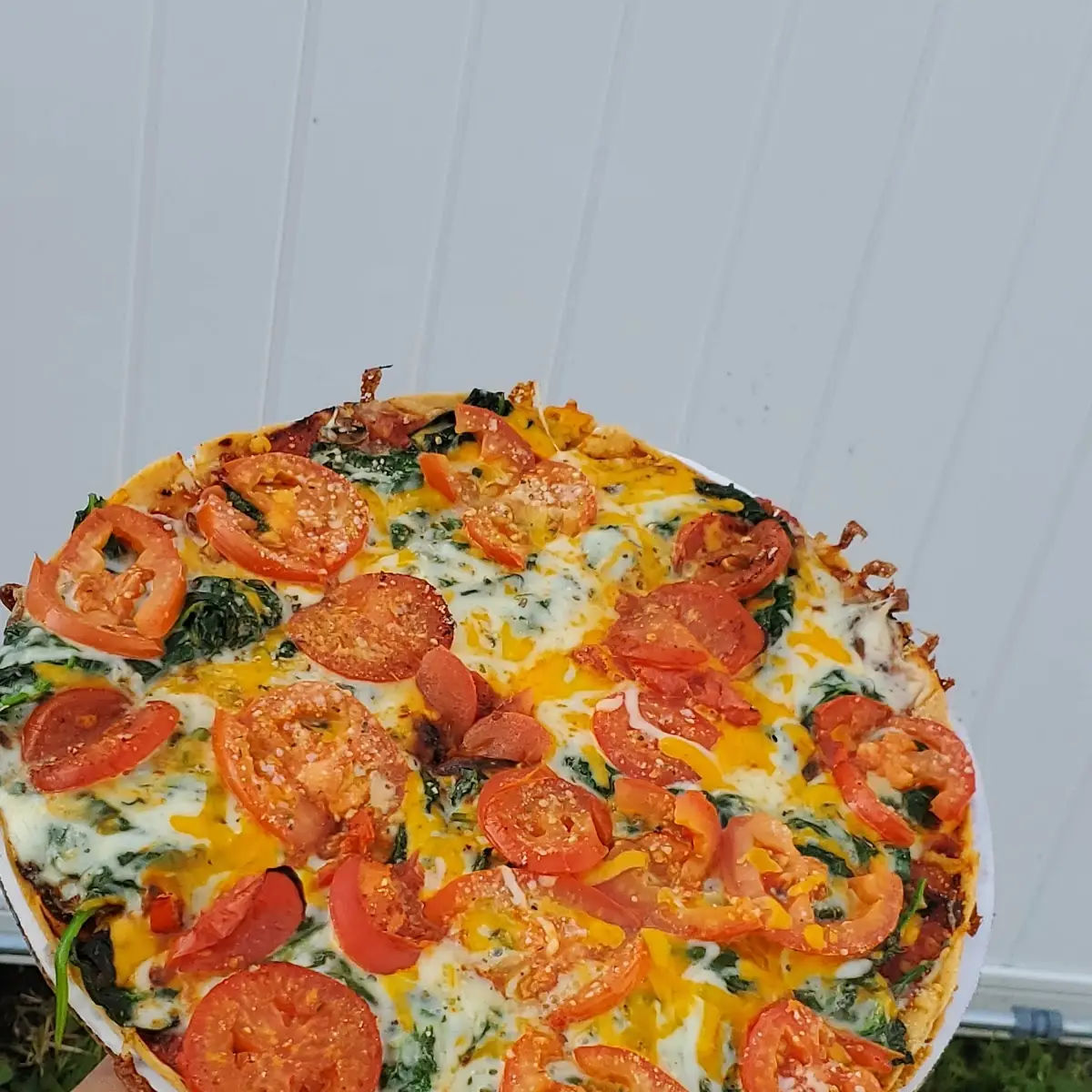 Crustless Pizza