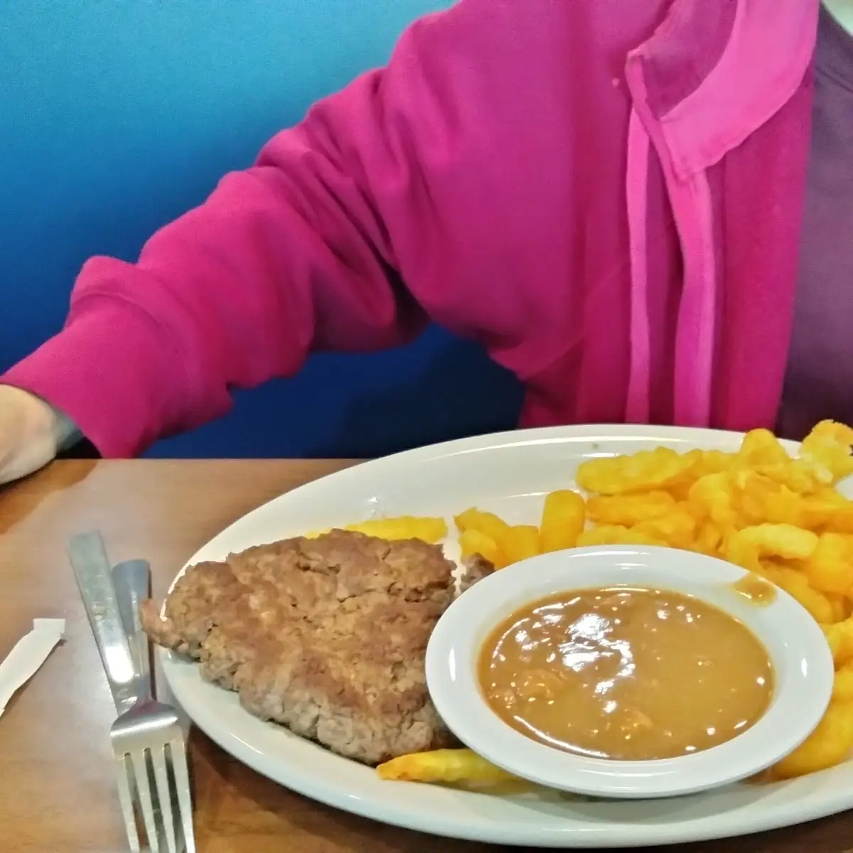 Hamburger Steak & Gravy Fries