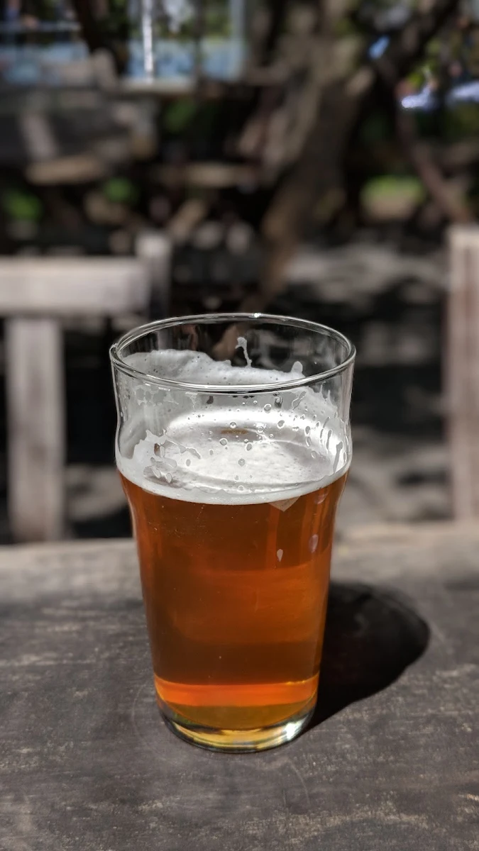 Beer, Vices & Versa