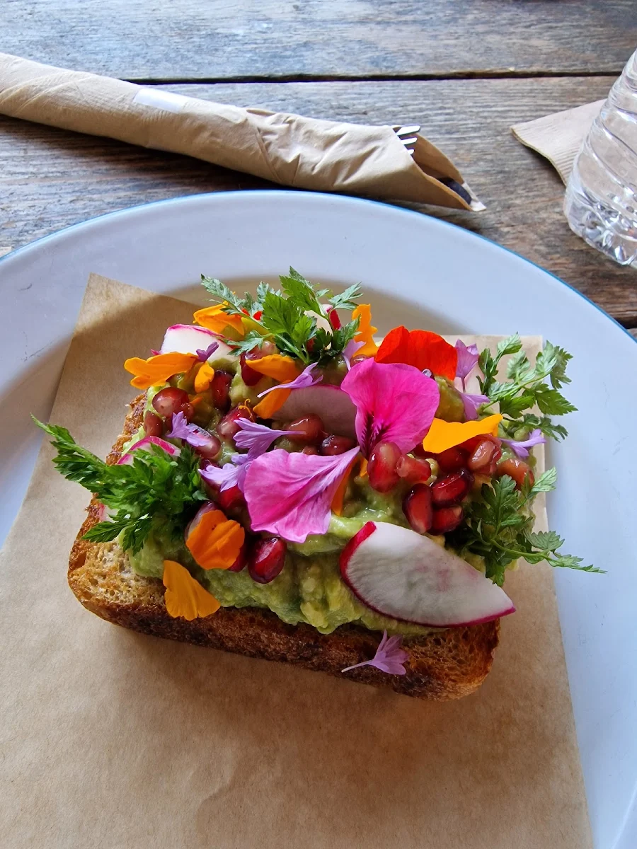 Obligatory Avocado Toast