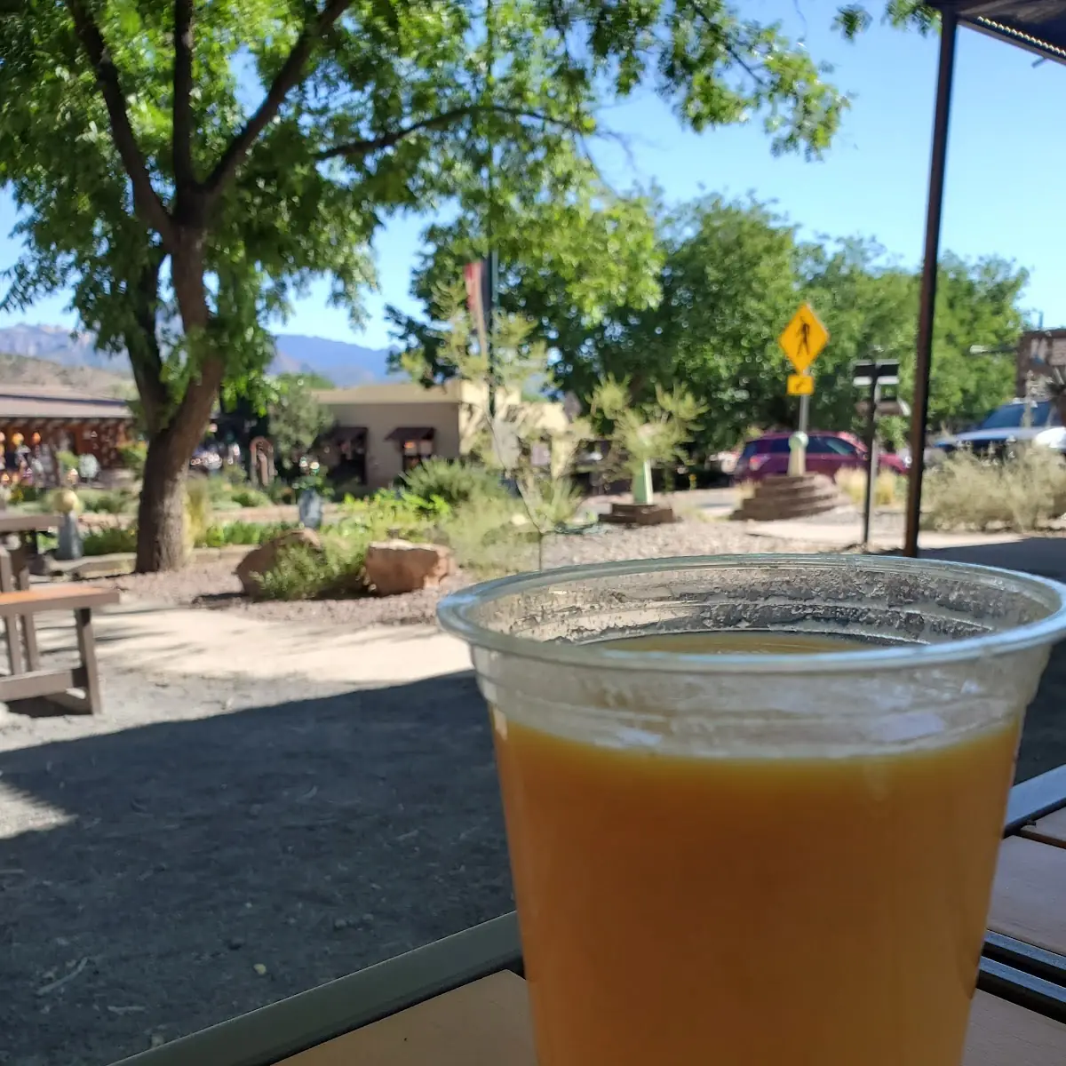 Mango Smoothie