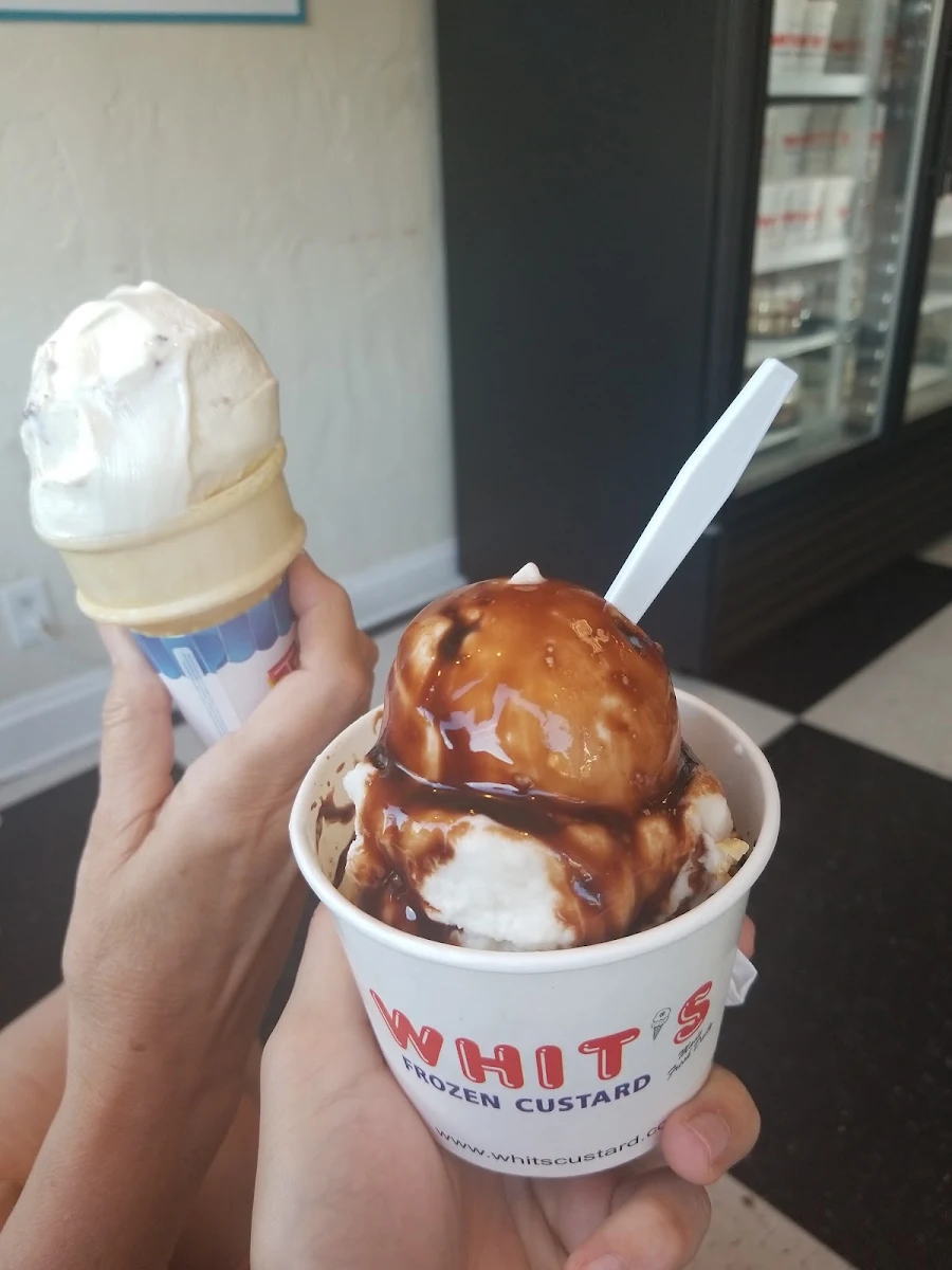 Vegan Vanilla Frozen Custard
