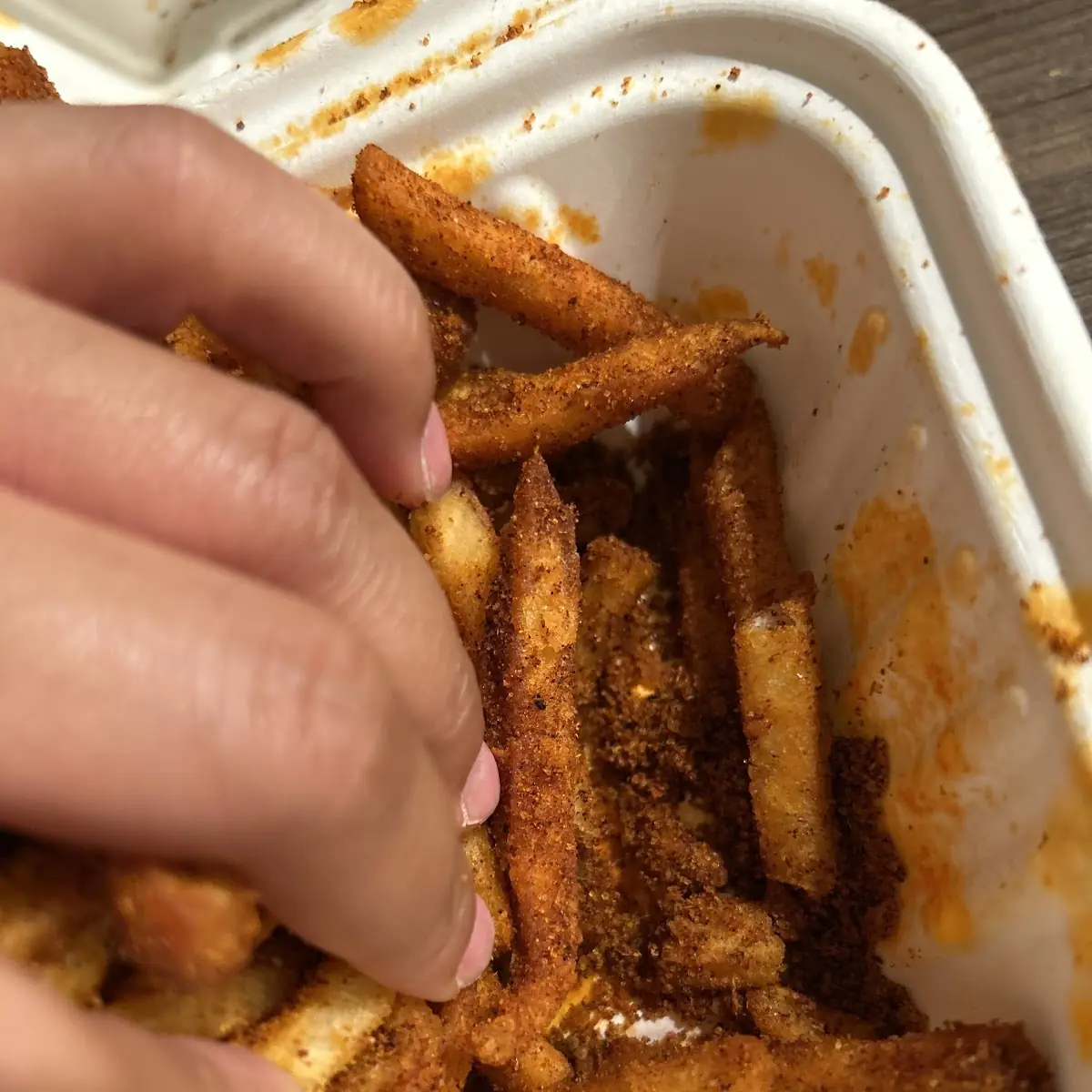 Cajun Fries with Cheesesteak