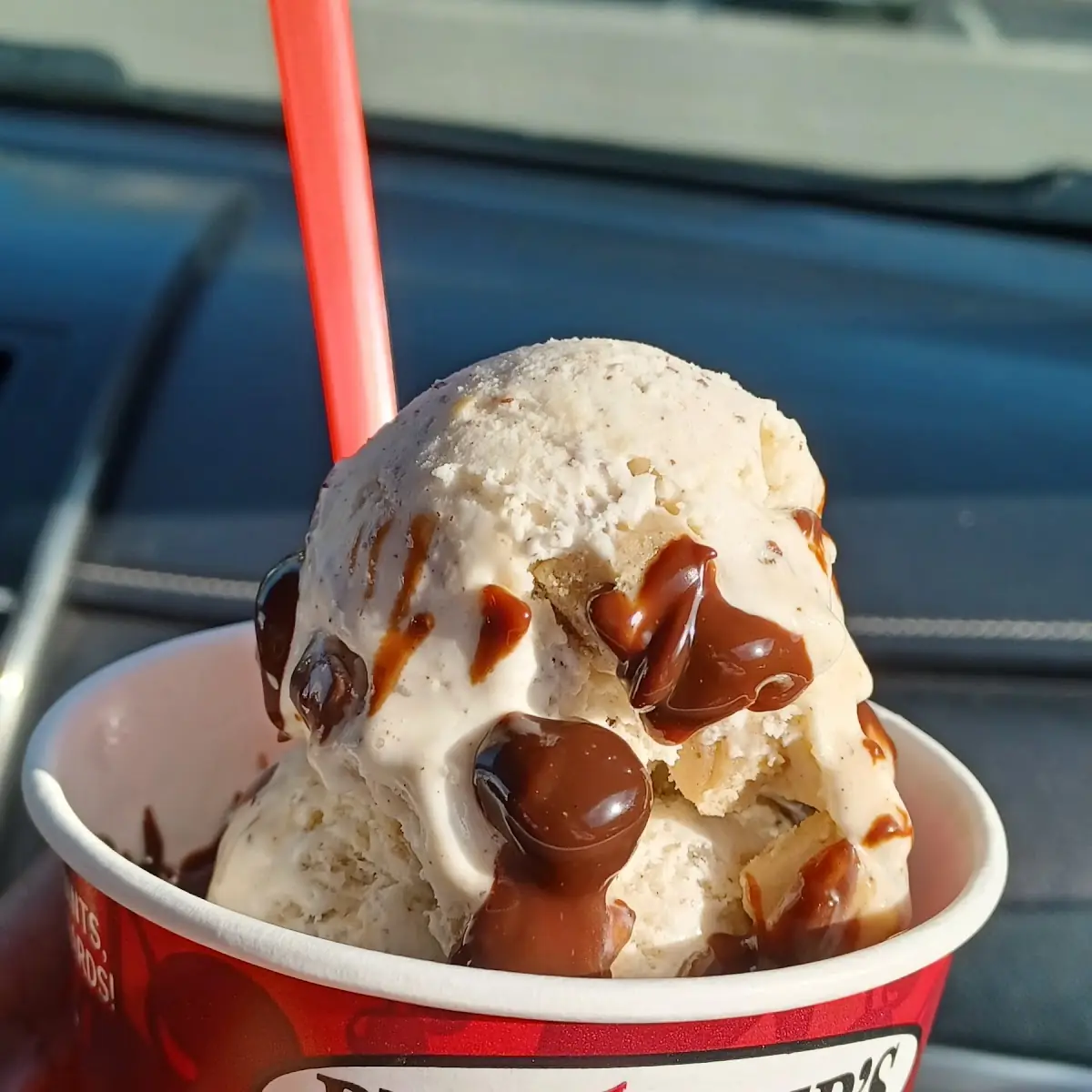 Cookie Dough with Double Fudge