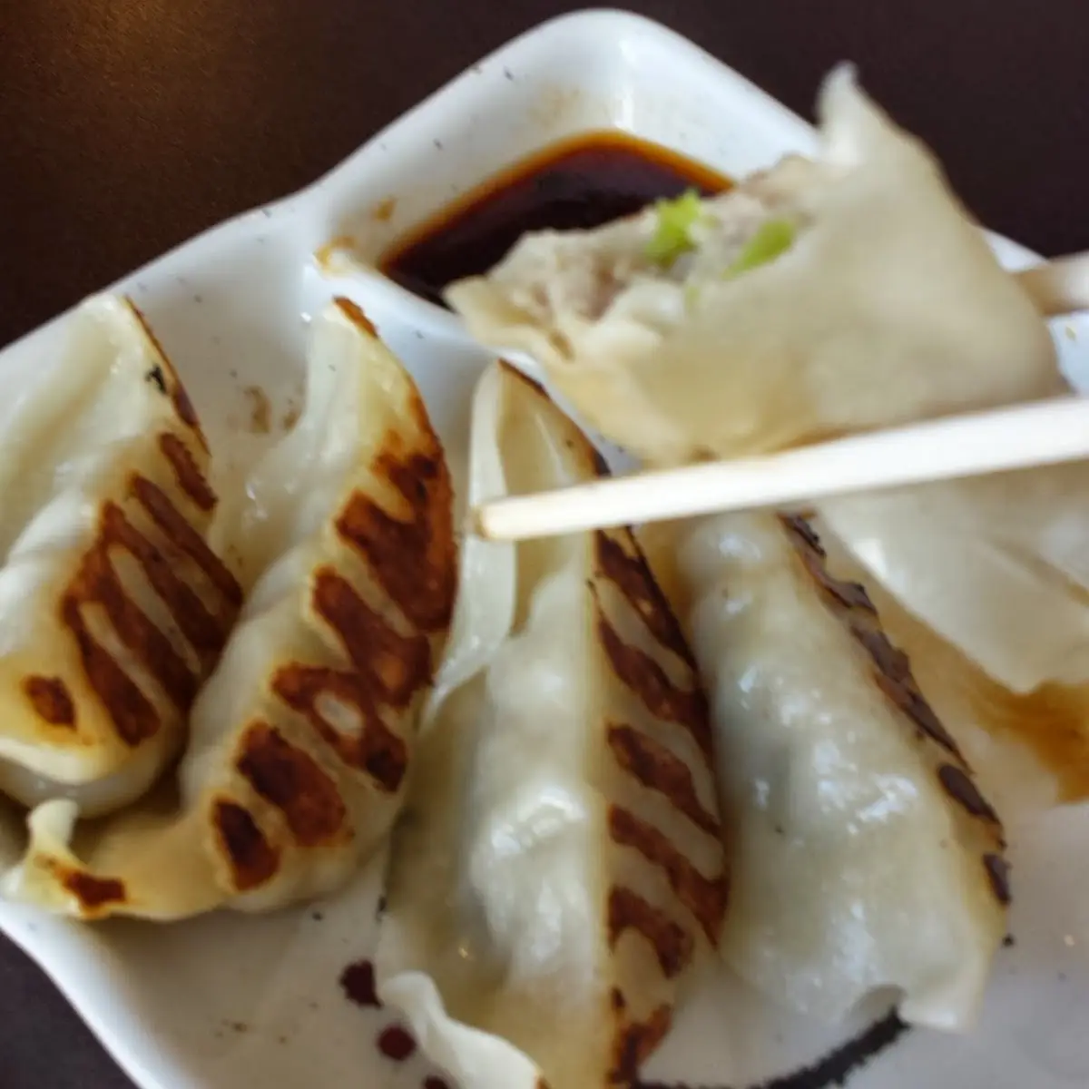Pan Fried Pork Gyoza Dumplings