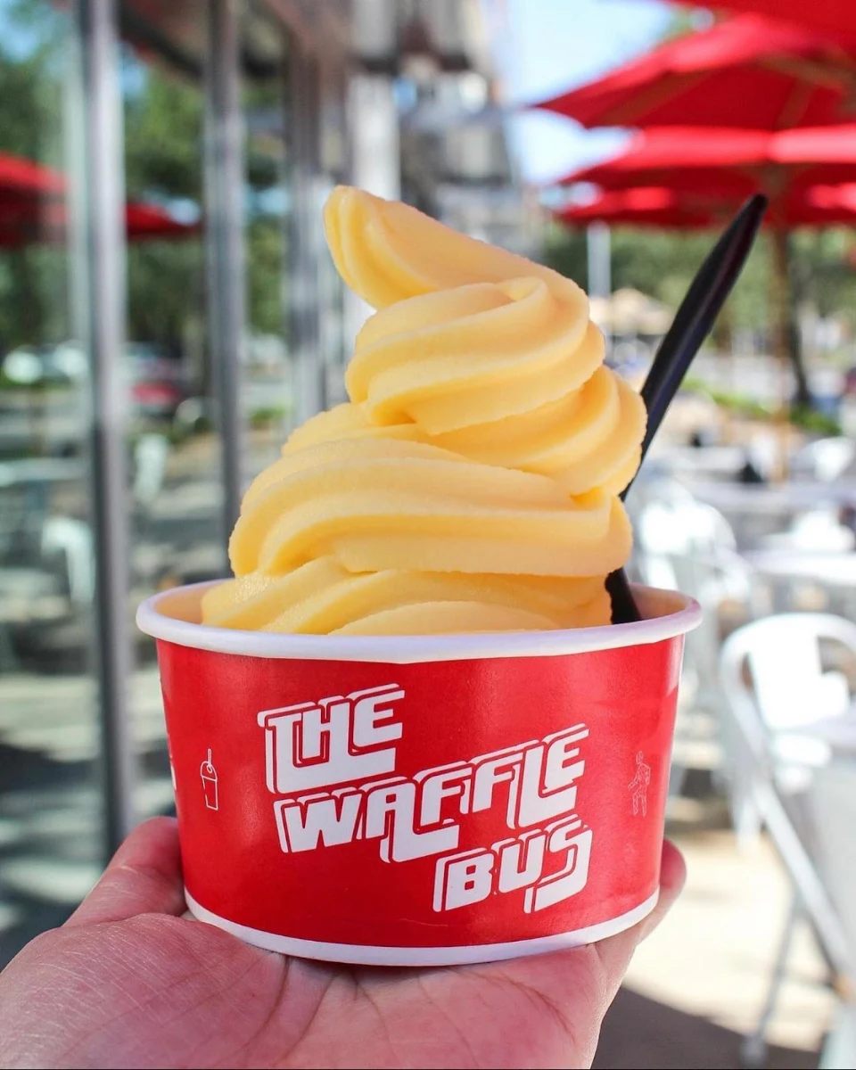 Frozen Custard