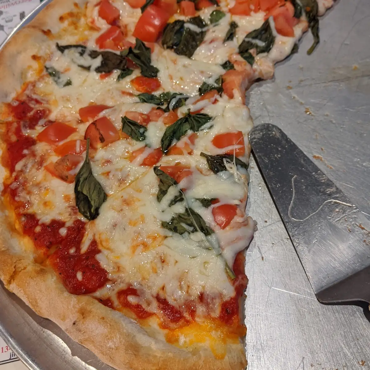Margarita Pizza with Extra Mozzarella
