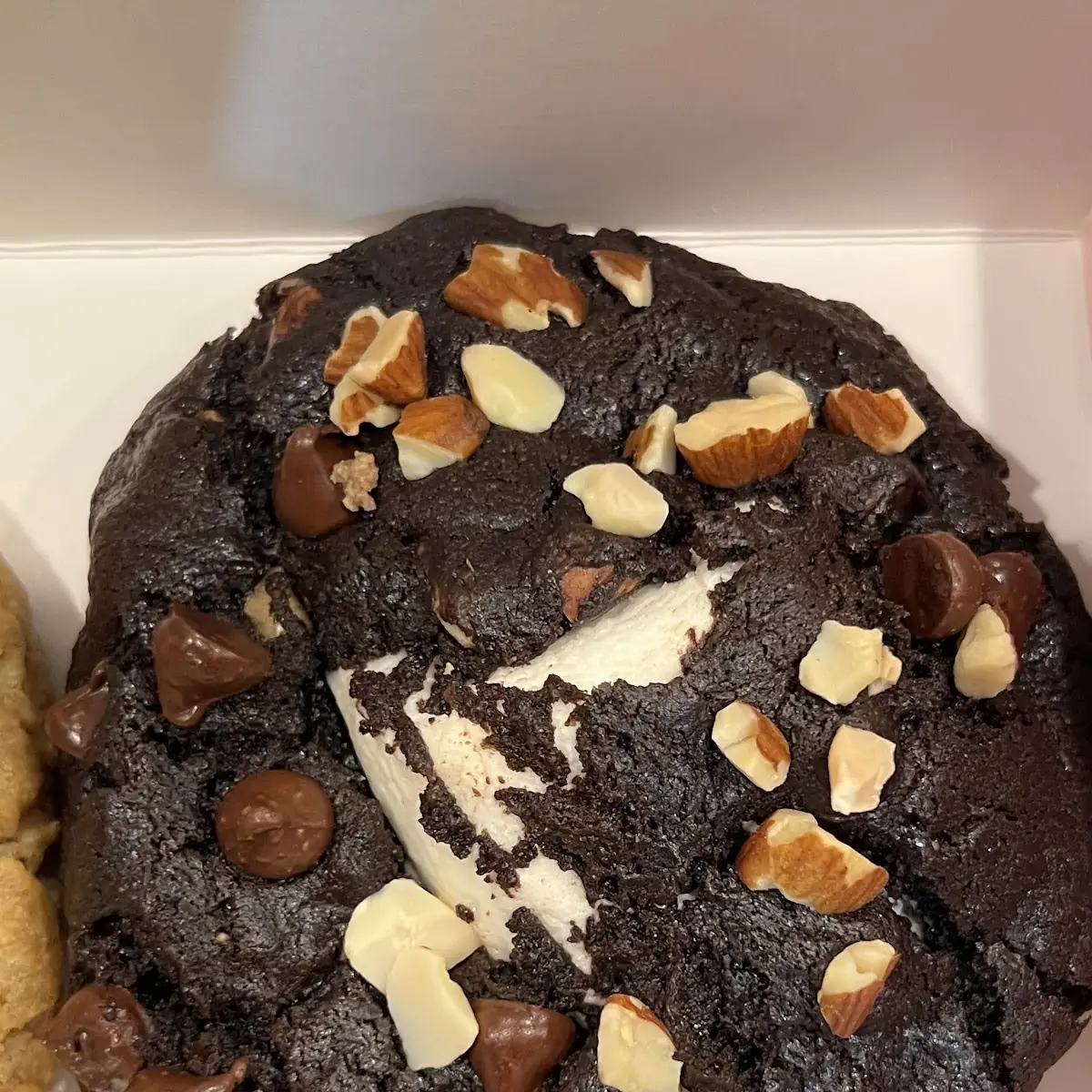 Chocolate Brownie